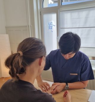 fenster
